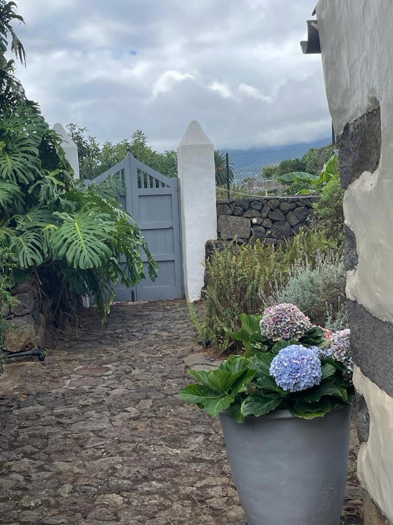 Casas La Principal Pensionat San Pedro  Exteriör bild