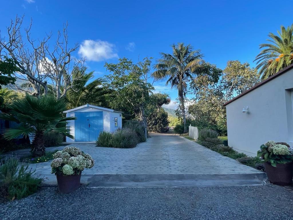 Casas La Principal Pensionat San Pedro  Exteriör bild