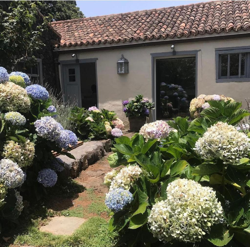 Casas La Principal Pensionat San Pedro  Exteriör bild